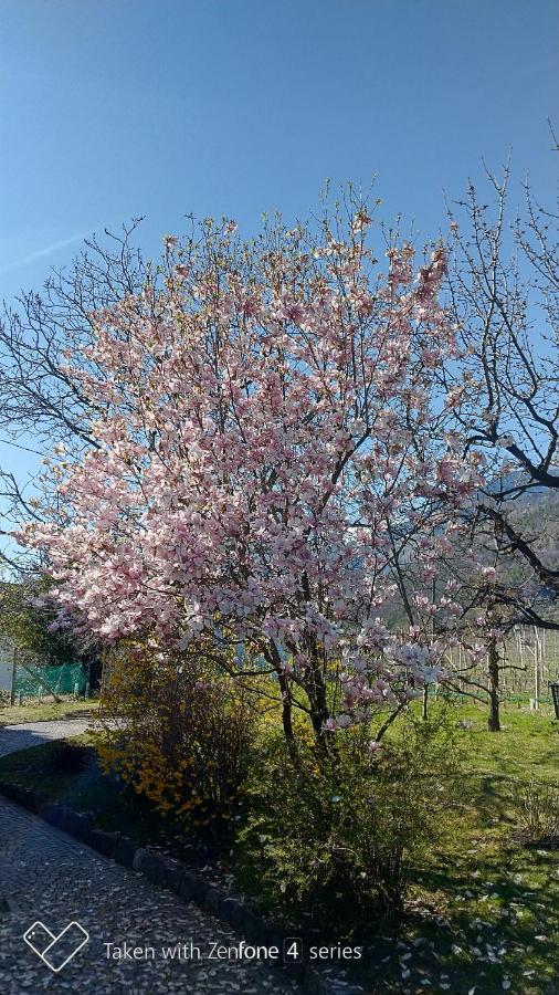 Unterdornerhof Aparthotel Lagundo Εξωτερικό φωτογραφία